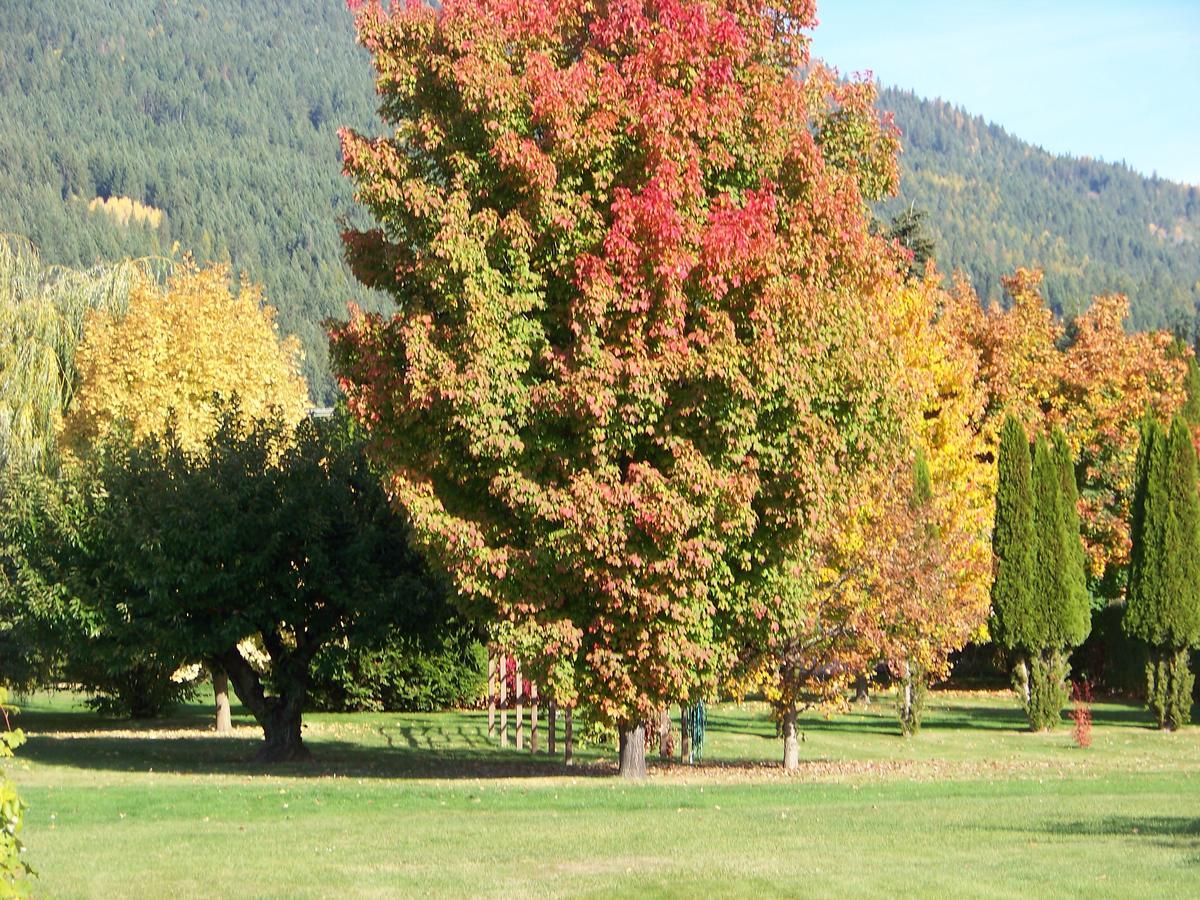 Bavarian Orchard Motel Creston Exterior photo